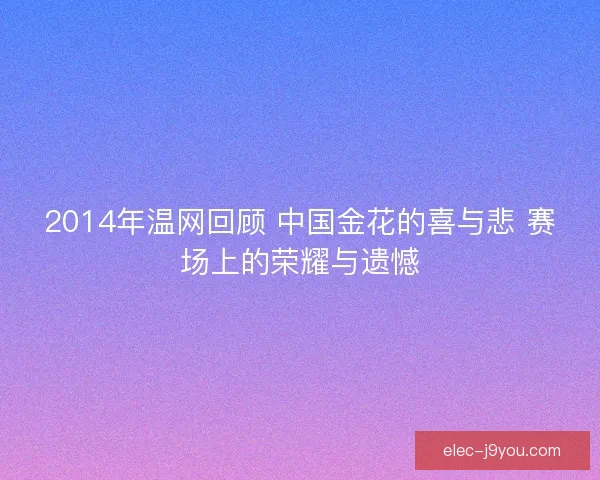 2014年温网回顾 中国金花的喜与悲 赛场上的荣耀与遗憾